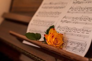 piano-and-rose