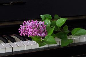 lilac-and-piano